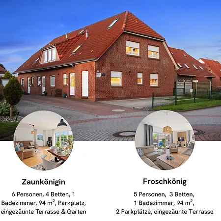 Froschkoenig