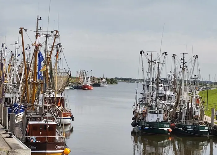 Froschkoenig Tatil Evi Norden
