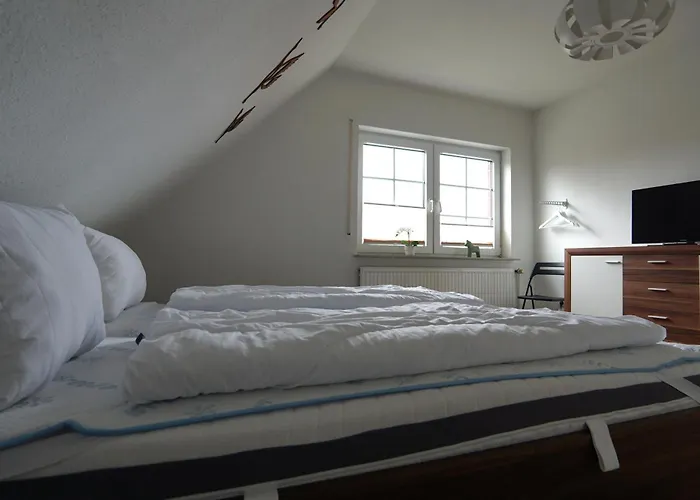 Froschkoenig * Norden