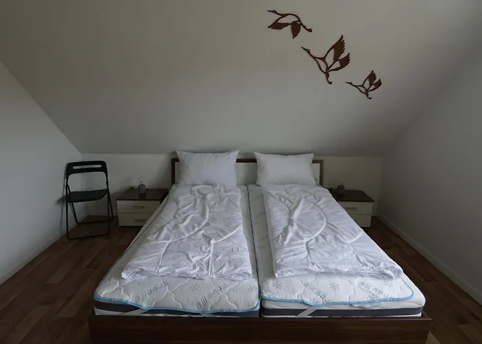 Tatil Evi Froschkoenig Norden